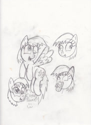 Size: 763x1048 | Tagged: safe, artist:toon-n-crossover, derpy hooves, pegasus, pony, doodles, female, mare, monochrome, reference sheet, sketch