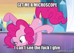 Size: 508x362 | Tagged: safe, pinkie pie, earth pony, pony, image macro, reaction image, solo, vulgar