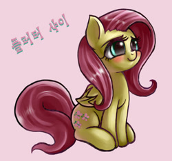 Size: 925x864 | Tagged: safe, artist:mrs1989, fluttershy, pegasus, pony, female, korean, mare, solo