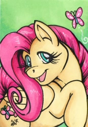 Size: 494x712 | Tagged: safe, artist:blackfrost, fluttershy, butterfly, pegasus, pony, female, mare, solo