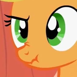 Size: 290x289 | Tagged: safe, screencap, applejack, earth pony, pony, look before you sleep, close-up, cropped, scrunchy face, solo