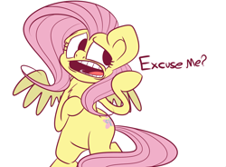 Size: 1280x943 | Tagged: safe, artist:extradan, fluttershy, pegasus, pony, chest fluff, female, mare, solo