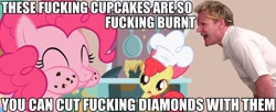 Size: 930x380 | Tagged: safe, apple bloom, pinkie pie, earth pony, pony, angry, crossover, gordon ramsay, hell's kitchen, image macro, vulgar