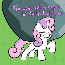 Size: 800x800 | Tagged: safe, artist:lamia, sweetie belle, tom, pony, unicorn, female, filly, solo