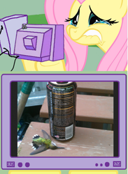 Size: 565x771 | Tagged: safe, fluttershy, hummingbird, pegasus, pony, crying, death, energy drink, exploitable meme, fluttercry, sad, tv meme