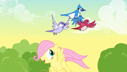 Size: 500x281 | Tagged: safe, fluttershy, bird, blue jay, pegasus, pony, filly, mordeshy