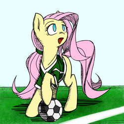 Size: 1000x1000 | Tagged: safe, artist:thattagen, fluttershy, pegasus, pony, football, ponytail, solo, sports