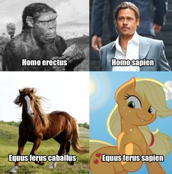 Size: 936x947 | Tagged: safe, artist:joey darkmeat, edit, applejack, horse, human, brad pitt, grammar error, irl, irl human, misspelling, photo, taxonomy, text