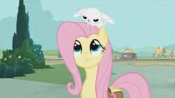 Size: 853x480 | Tagged: safe, screencap, angel bunny, fluttershy, pegasus, pony, just for sidekicks, female, mare