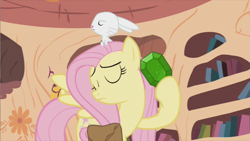 Size: 853x480 | Tagged: safe, screencap, angel bunny, fluttershy, pegasus, pony, just for sidekicks, gem, golden oaks library