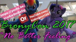 Size: 960x540 | Tagged: safe, derpibooru import, rainbow dash, twilight sparkle, twilight sparkle (alicorn), alicorn, bronycon, fursuit, irl, low res image, photo, thumbnail