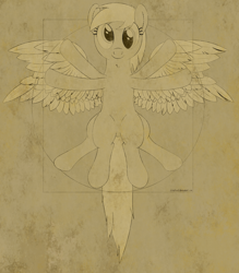 Size: 3500x4000 | Tagged: safe, artist:stinkehund, derpy hooves, pegasus, pony, crossover, female, fine art parody, hilarious in hindsight, leonardo da vinci, mare, parody, solo, vitruvian man, vitruvian pony