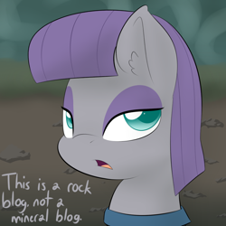 Size: 900x900 | Tagged: safe, artist:lamia, maud pie, maud pie (episode), ask, maud on the farm, solo, tumblr