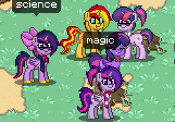 Size: 322x224 | Tagged: safe, sci-twi, sunset shimmer, twilight sparkle, twilight sparkle (alicorn), alicorn, pony, female, lesbian, mare, pony town, ponytail, scitwishimmer, shipping, sunset twiangle, sunsetsparkle, twolight