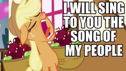 Size: 600x338 | Tagged: safe, edit, edited screencap, screencap, applejack, earth pony, pony, applebuck season, image macro, meme, solo, song of my people