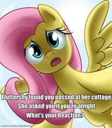 Size: 836x955 | Tagged: safe, artist:steffy-beff, fluttershy, pegasus, pony, bronybait, cute, image macro, pov, shyabetes, solo, what do