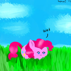 Size: 894x894 | Tagged: safe, artist:kyuniko, pinkie pie, earth pony, pony, :3, blob, grass, solo, wat