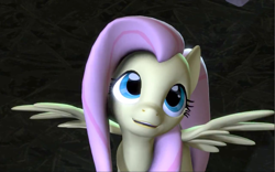 Size: 1280x800 | Tagged: safe, artist:whrrlr, fluttershy, pegasus, pony, 3d, cute, shyabetes, solo, source filmmaker
