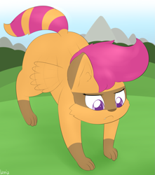 Size: 1407x1595 | Tagged: safe, artist:lamia, scootaloo, raccoon, solo, species swap, wings