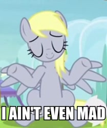 Size: 390x467 | Tagged: safe, screencap, derpy hooves, pegasus, pony, rainbow falls, caption, female, i ain't even mad, image macro, mare, meme, reaction image, shrug, solo