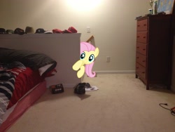 Size: 3264x2448 | Tagged: safe, artist:boltblazer, fluttershy, irl, ponies in real life, solo