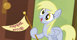 Size: 836x432 | Tagged: safe, derpy hooves, pegasus, pony, rainbow falls, derpy's flag, exploitable meme, female, mare, meme, solo, vulgar