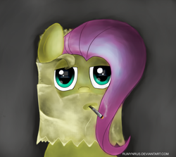 Size: 946x844 | Tagged: safe, artist:rumynrus, fluttershy, pegasus, pony, cigarette, smoking, solo