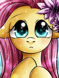 Size: 1050x1400 | Tagged: safe, artist:princesssilverglow, fluttershy, pegasus, pony, flower, rain, solo