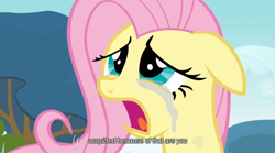 Size: 640x355 | Tagged: safe, screencap, fluttershy, pegasus, pony, female, mare, solo, youtube caption