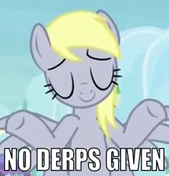 Size: 367x382 | Tagged: safe, derpy hooves, pegasus, pony, rainbow falls, female, image macro, mare, meme, solo