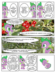 Size: 1000x1294 | Tagged: safe, rarity, spike, dragon, pony, unicorn, christmas, comic, crying, fetal position, hearth's warming eve, holly, holly mistaken for mistletoe, mistletoe