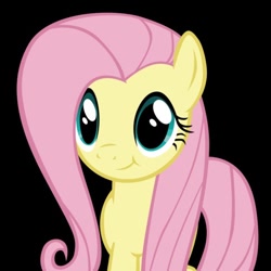 Size: 486x486 | Tagged: safe, artist:takua770, fluttershy, pegasus, pony, black background, simple background, solo, vector