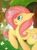 Size: 900x1232 | Tagged: safe, artist:falleninthedark, fluttershy, pegasus, pony, female, mare, pink mane, solo, yellow coat