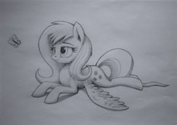 Size: 1500x1058 | Tagged: dead source, safe, artist:polkin, fluttershy, butterfly, pegasus, pony, monochrome, pencil, prone, solo