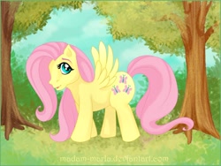 Size: 1534x1153 | Tagged: safe, artist:madam-marla, fluttershy, pegasus, pony, female, mare, pink mane, solo, yellow coat