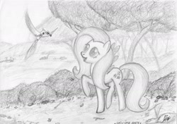 Size: 1814x1280 | Tagged: safe, artist:dodgeths, fluttershy, bird, pegasus, pony, monochrome, traditional art