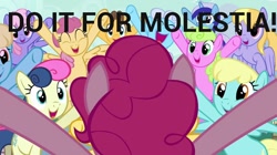 Size: 800x448 | Tagged: safe, pinkie pie, earth pony, pony, down with down with molestia, down with molestia, drama, image macro