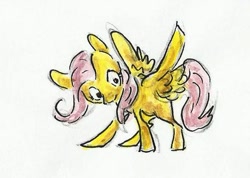 Size: 555x395 | Tagged: safe, artist:394vikingpinkiepie, fluttershy, pegasus, pony, female, mare, solo, traditional art