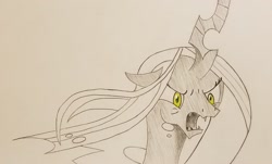 Size: 2048x1233 | Tagged: safe, artist:polar_storm, queen chrysalis, changeling, changeling queen, angry, female, mare, monochrome, palindrome get, partial color, simple background, sketch, solo, traditional art, white background