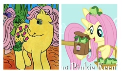 Size: 588x354 | Tagged: safe, edit, edited screencap, screencap, fluttershy, posey, earth pony, frog, pegasus, pony, feeling pinkie keen, g1, comparison, cropped, female, mare, saddle bag