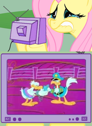 Size: 563x771 | Tagged: safe, fluttershy, pegasus, pony, arrested, exploitable meme, fluttercry, garfield, garfield and friends, jail, meme, obligatory pony, prison, roy rooster, television, tv meme, u.s. acres, us acres, wade duck, wanted: wade