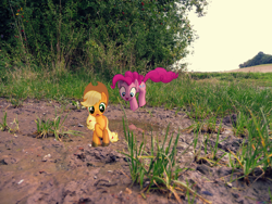 Size: 3264x2448 | Tagged: safe, artist:colorfulbrony, artist:dipi11, artist:thatguy1945, applejack, derpy hooves, pinkie pie, pegasus, pony, female, field, high res, irl, jumping, mare, mud, outdoors, photo, ponies in real life, puddle, reflection, tree, vector