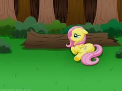 Size: 2000x1500 | Tagged: safe, artist:megacreomon, fluttershy, pegasus, pony, alone, forest, lying, sad, solo