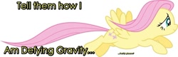 Size: 900x287 | Tagged: safe, edit, fluttershy, pegasus, pony, defying gravity, flying, lyrics, quote, simple background, solo, text, vector, white background, wicked