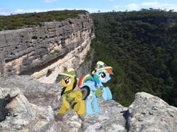 Size: 1000x747 | Tagged: safe, artist:didgereethebrony, derpibooru import, daring do, rainbow dash, pegasus, pony, australia, blue mountains, cliff, kanangra boyd national park, mlp in australia, plateau