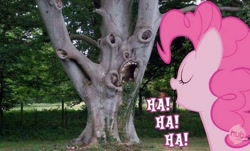 Size: 682x411 | Tagged: safe, pinkie pie, hub logo, hubble, image macro, irl, laughter song, parody, photo, ponies in real life, text