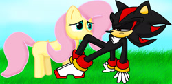 Size: 2637x1291 | Tagged: safe, artist:eliteyagami64, fluttershy, pegasus, pony, crossover, shadow the hedgehog, sonic the hedgehog (series)