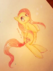 Size: 768x1024 | Tagged: safe, artist:divided-s, fluttershy, pegasus, pony, divneues, solo, traditional art