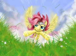 Size: 1110x815 | Tagged: safe, artist:reillyington86, fluttershy, pegasus, pony, action pose, flying, grass, helmet, solo