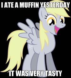 Size: 722x800 | Tagged: safe, derpy hooves, pegasus, pony, caption, female, image macro, mare, muffin, solo